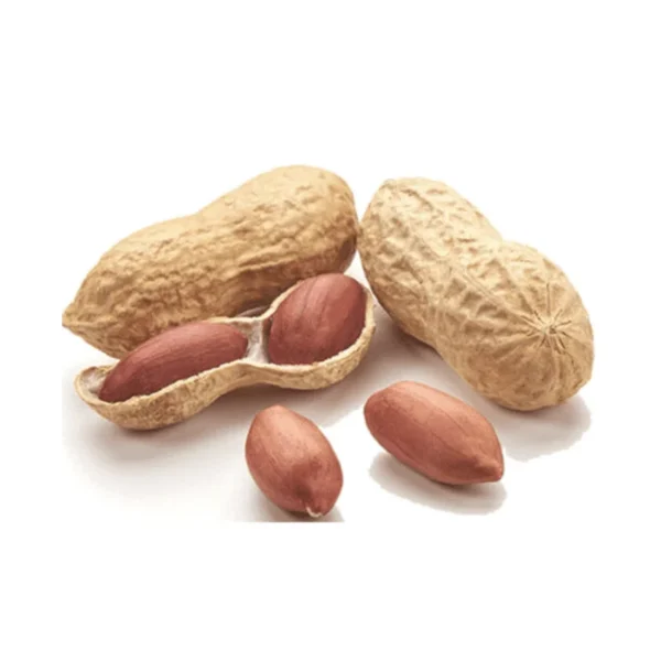 Supreme Peanut Jumbo