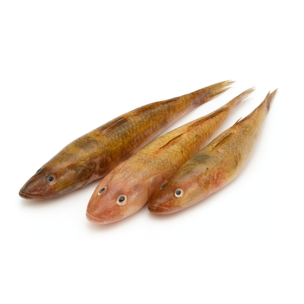 Sea king Baila Clean IQF 500gm pktX20/loose