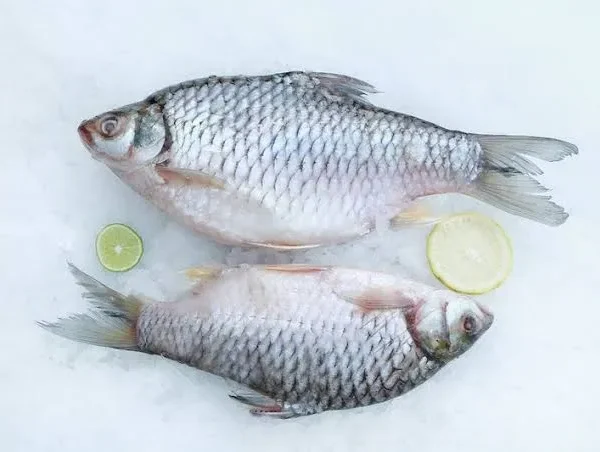 Supreme Shor Puti 1kg up (per lb)