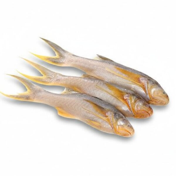 Sea king Taposi 500 g