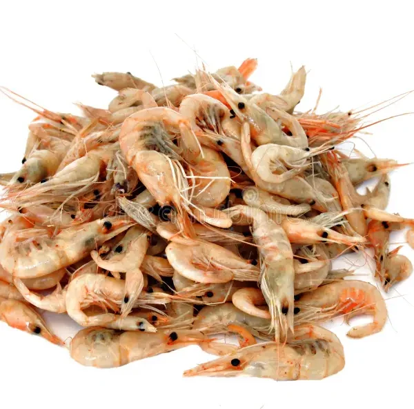 Supreme Tiny Shrimp 250 g x 20 Tray
